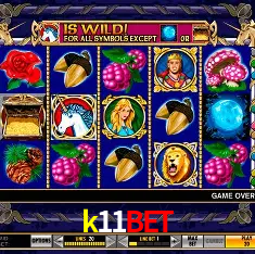 k11bet Rio de Janeiro - Bonus Terms